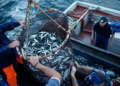 South Africa Seizes, Fines Four Chinese Fishing Vessels for Illegal Entry