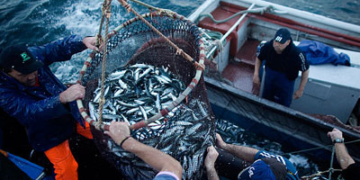 South Africa Seizes, Fines Four Chinese Fishing Vessels for Illegal Entry