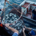 South Africa Seizes, Fines Four Chinese Fishing Vessels for Illegal Entry