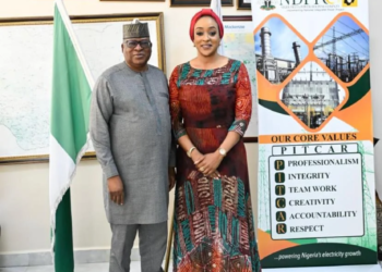 Togo Seeks to Increase Electricity Imports From Nigeria’s NDPHC