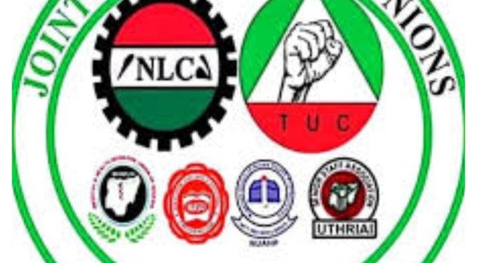 NIGERIA: Health Workers Stage Protest in Abuja Over Regulatory Bill