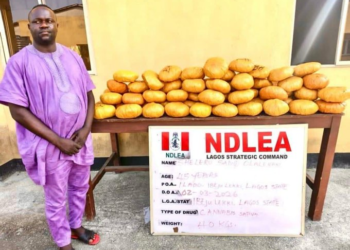 NIGERIA: Ex-Ibeju-Lekki Councillor, Others Arrested For Drug Trafficking