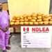 NIGERIA: Ex-Ibeju-Lekki Councillor, Others Arrested For Drug Trafficking