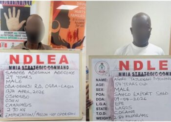 Nigeria: NDLEA Foils UK-bound Cocaine Shipment, Seizes ‘Loud’ and Skunk in Nationwide Raids