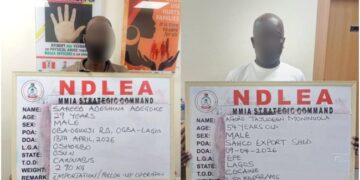 Nigeria: NDLEA Foils UK-bound Cocaine Shipment, Seizes ‘Loud’ and Skunk in Nationwide Raids