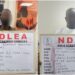 Nigeria: NDLEA Foils UK-bound Cocaine Shipment, Seizes ‘Loud’ and Skunk in Nationwide Raids