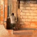 Explosions Rock Mali as Armed Groups Launch Major Coordinated Attacks Across Several Cities