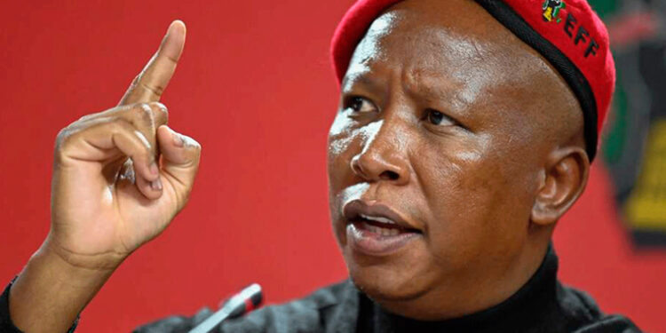 Malema Faces Possible 15-Year Jail Term as Court Hears Sentencing Arguments