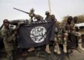 IS Claims Attack in Adamawa Village That Left 29 Dead