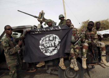 IS Claims Attack in Adamawa Village That Left 29 Dead