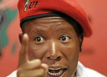 SOUTH AFRICA: Malema Faces Sentencing as EFF Supporters Rally Ahead of Court Decision