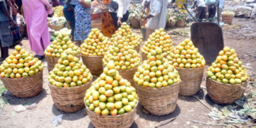 Nigeria’s Inflation Rate Rises to Fifteen Percent in March 2026