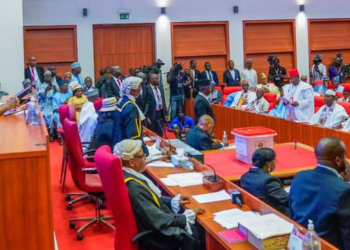 Senate Orders Military Audit Over Borno Attacks in Nigeria