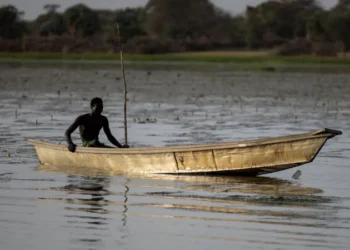 Dozens of Nigerian Fishermen Feared Dead After Chad Air Strikes on Boko Haram in Lake Chad