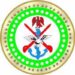 Nigerian Military Kills Over Twenty ISIS Fighters in Fresh Borno Raid