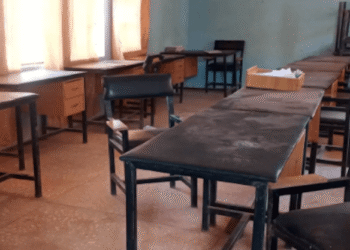 Nigeria: Boko Haram Invades Borno School, Abducts Students