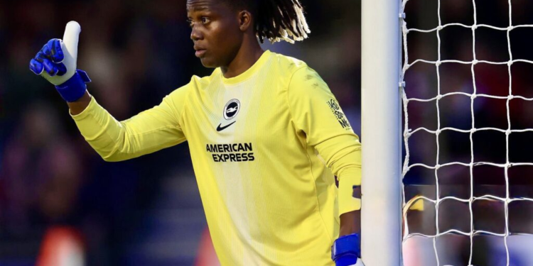 NIGERIA: Chiamaka Nnadozie Helps Brighton Reach Historic Women’s FA Cup Final