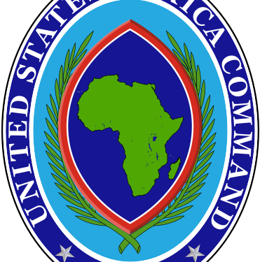 Joint Nigeria–US Strikes Wipe Out 175 ISIS Terrorists in North East