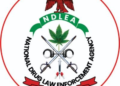 NDLEA Busts Major Meth Lab, Arrests 10 Suspects in Nigeria–Mexico Cartel