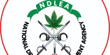 NDLEA Busts Major Meth Lab, Arrests 10 Suspects in Nigeria–Mexico Cartel