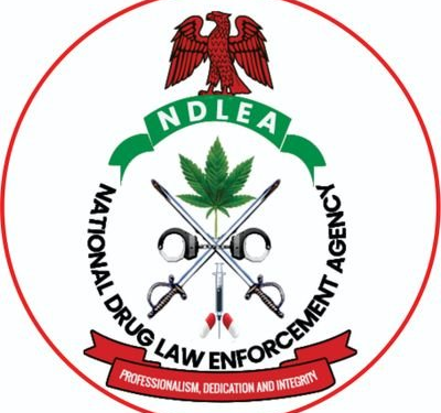 NDLEA Busts Major Meth Lab, Arrests 10 Suspects in Nigeria–Mexico Cartel