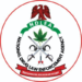 NDLEA Busts Major Meth Lab, Arrests 10 Suspects in Nigeria–Mexico Cartel