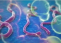 Africa Secures $498.8m to Boost Response to Ebola Outbreak