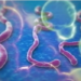 Africa Secures $498.8m to Boost Response to Ebola Outbreak