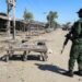 Boko Haram Attack on Chad Military Base Kills 23, Injures 26