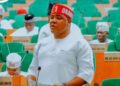 Nigeria: Agbese Alleges Forged Signature in Minority Leader Bid, Calls for House Probe