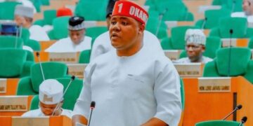 Nigeria: Agbese Alleges Forged Signature in Minority Leader Bid, Calls for House Probe