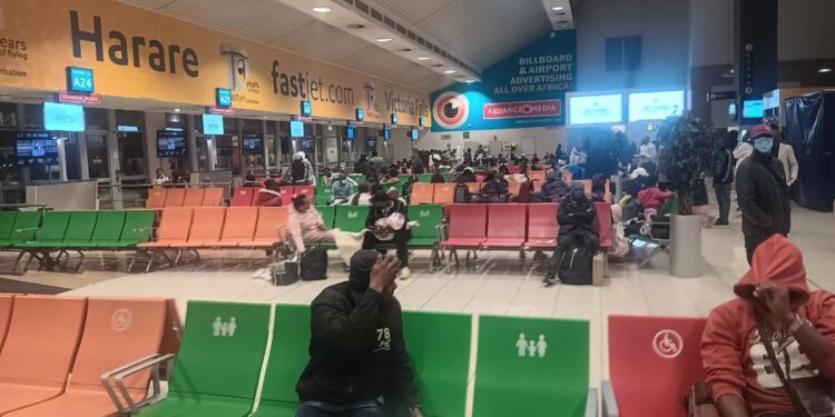 Air Peace Airlifts First 262 Nigerians Home as Tinubu Orders Evacuation from South Africa