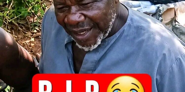 Nigeria: Former Kebbi APC Chairman Dies in Bandits’ Captivity Weeks After Abduction Video Surfaces
