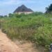 Nigeria: Explosion in Owerri Drainage Kills Two Suspected Scrap Metal Scavengers