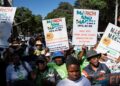 Nigeria Plans to Evacuate 1,000+ Citizens from South Africa as Xenophobic Violence Spreads
