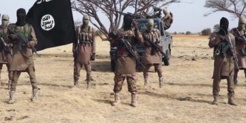 Eight Soldiers Killed in Early Morning Attack on Borno Army Base