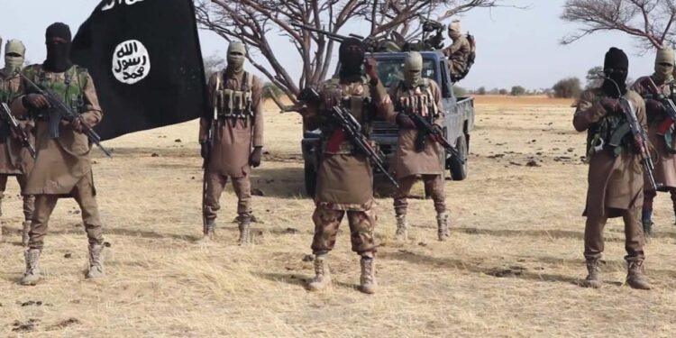 Eight Soldiers Killed in Early Morning Attack on Borno Army Base