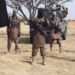 Eight Soldiers Killed in Early Morning Attack on Borno Army Base