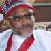 IPOB: FG’s Own Appeal Admits Kanu’s Sentencing Was “Jurisdictionally Dead”