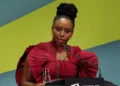 Nigerian Author Adichie Accuses Lagos Hospital of Blocking Inquest Into Toddler’s Death
