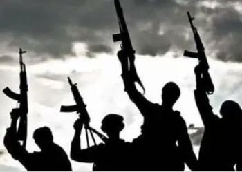NIGERIA: Gunmen Kidnap Ifedayo Local Government Vice Chairman in Osun Attack