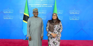 Dangote, Tanzania Government Discuss Major Investments in Power, Ports and Fertiliser