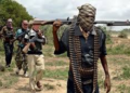 NIGERIA: Gunmen Kill Teacher, Abduct Dozens of Students in Borno School Attack