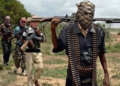 NIGERIA: Bandits Kill Four Farmers, Abduct 12 in Sokoto State