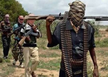 NIGERIA: Bandits Kill Four Farmers, Abduct 12 in Sokoto State