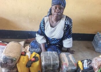 Troops Intercept Chadian Woman Smuggling Drugs and Alcohol to Terrorists in Borno