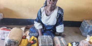 Troops Intercept Chadian Woman Smuggling Drugs and Alcohol to Terrorists in Borno