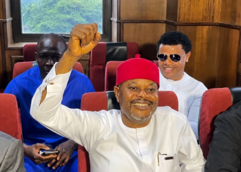 Nigeria: Ex-Minister Uche Nnaji Pleads Not Guilty To Certificate Forgery