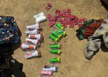 Nigeria: Pregnant Woman Arrested in Borno Over Alleged Supply Run to Terrorists