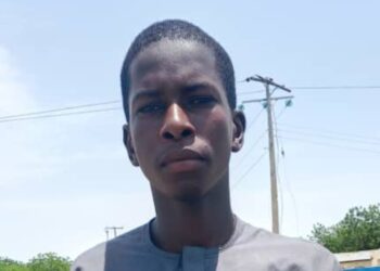 Nigeria: Alleged Boko Haram Informant Nabbed in Monguno Over Cross Kauwa Attack